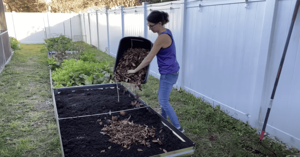 Filling a raised bed